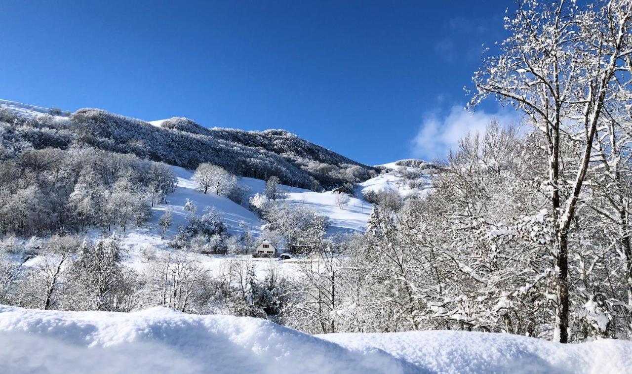 L'Escoundillou Hotel Saint-Jacques-des-Blats Екстериор снимка